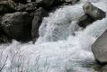 Torrents 02