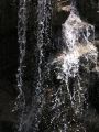 torrents&cascades26