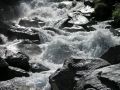 Torrents 06