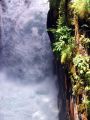 torrents&cascades28