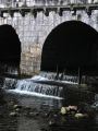torrents&cascades35