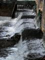 torrents&cascades37