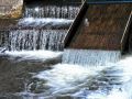 torrents&cascades38