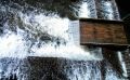 torrents&cascades39