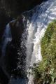 Torrents_53