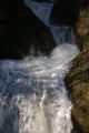 Torrents_55