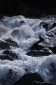 Torrents_57