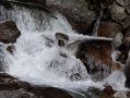 Torrents_61