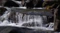 Torrents_62