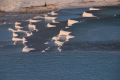 PAMUKKALE9